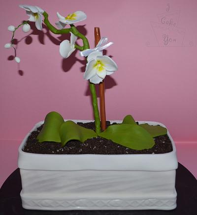 Orchid Cake - Cake by I Cake You