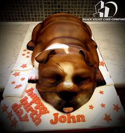 British bulldog cake  - Cake by Blackvelvetlee