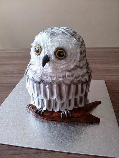 Owl  - Cake by Olina Wolfs