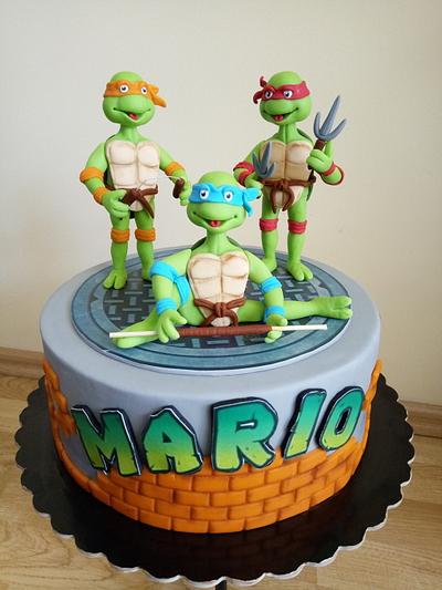 Ninja Turtles cake - Cake by Gabriela Doroghy