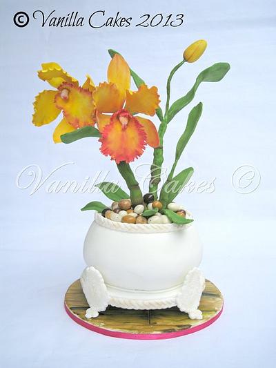 Potted Cattleya - Cake by Adrienne