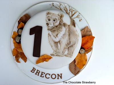 Little Bear's 1st Birthday - Cake by Sarah Jones