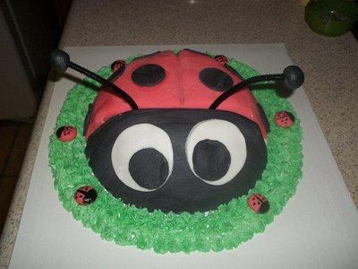 Lovely lady bug! - Cake by Andria Jones