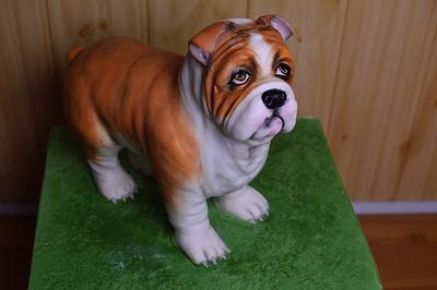 Bulldog cake - Cake by JarkaSipkova