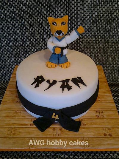 Taekwondo for Ryan - Cake by AWG Hobby Cakes
