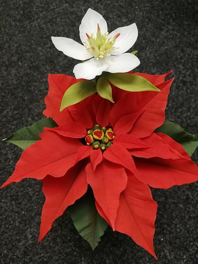 Christmas flowers  - Cake by My Magic Cakes 