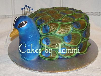 Peacock - Cake by Cakes by Tammi