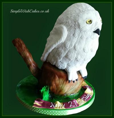 Snowy Owl - Cake by Stef and Carla (Simple Wish Cakes)