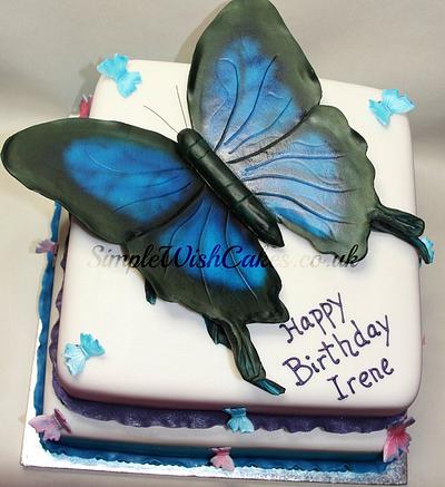 Large Butterfly Cake - Cake by Stef and Carla (Simple Wish Cakes)
