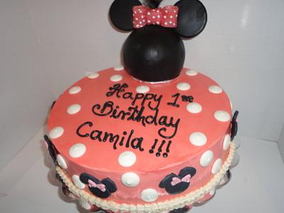 Happy Birthday Camila - Cake by Norma Vennesland