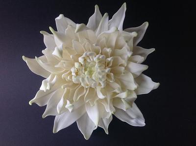 Dahlias - Cake by Butterfly Cakes and Bakes