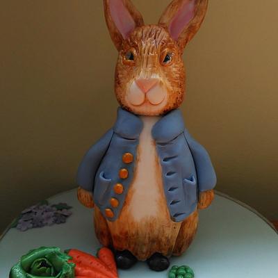 Peter rabbit  - Cake by Andrea 
