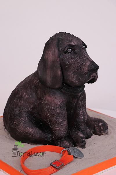 Black Labrador  - Cake by Agnes Havan-tortadecor.hu