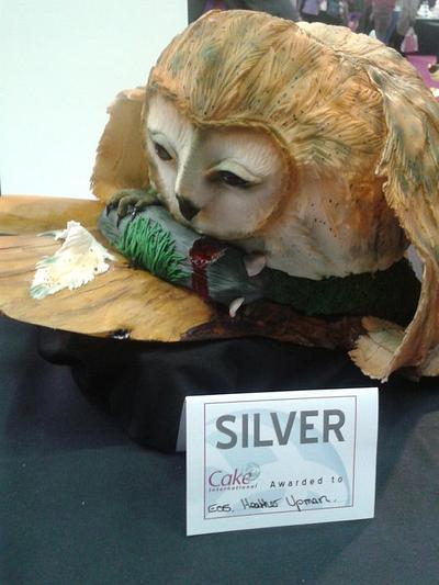 Barn Owl cake - Cake by FANCY THAT CAKES