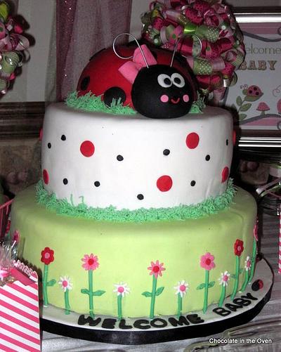 Lady Bug Baby Shower - Cake by Cathy