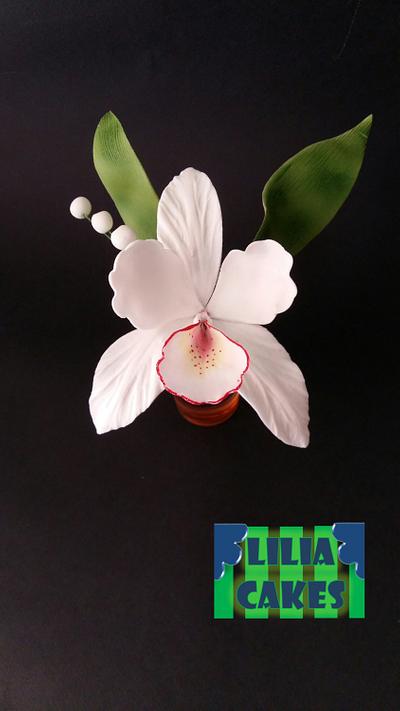 Gumpaste Orchid - Cake by LiliaCakes