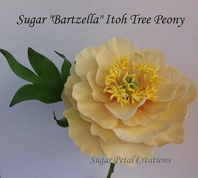 Sugar Bartzella Itoh Tree Peony  - Cake by Anne Cutajar-Wagner