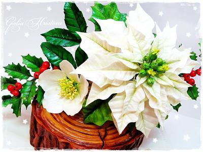 Christmas cake with Poinsettia - Cake by Galya's Art 