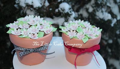 flower pot cakes - Cake by The Little Cake Company