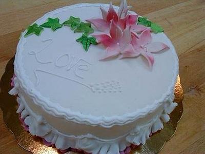 Practicecake - Cake by helenfawaz91