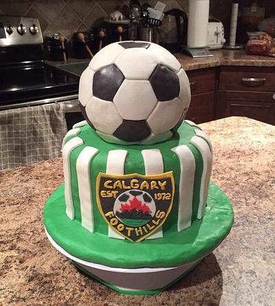 Soccer ball cake - Cake by DeniseRayArtworks