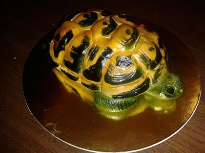 Greek turtle - Cake by Tucsisuti