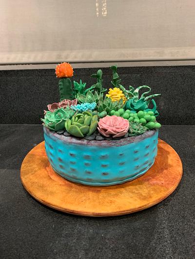 Succulent Garden Cake - Cake by mycakeadoodle