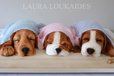 The Sleeping Puppies - Cake by Laura Loukaides