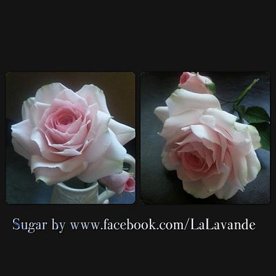 A Sugar Rose - Cake by La Lavande Sugar Florist