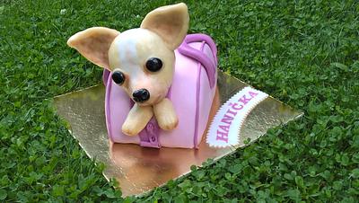 Cute Chihuahua in a ping bag - Cake by Mooonki