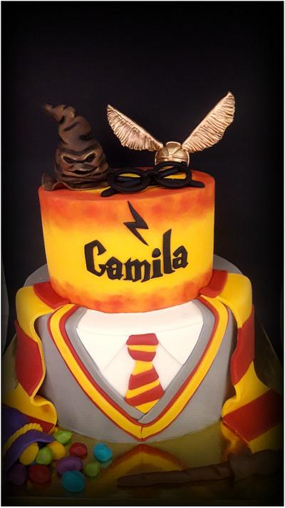 Harry Potter - Cake by dulcesfantasias