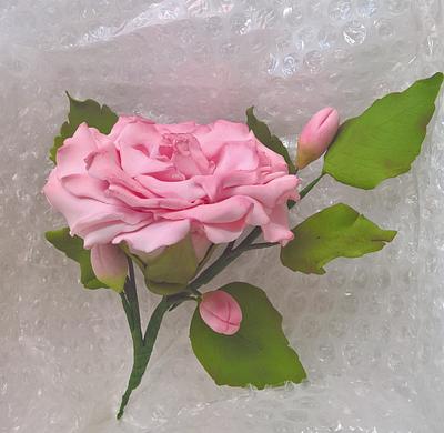 Pink rose - Cake by claire cowburn