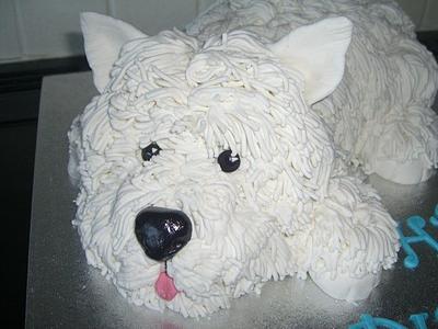 West Highland Terrier cake - Cake by janet boddy