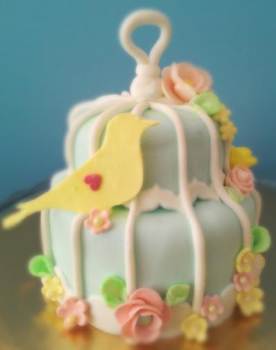 Mini bird cage - Cake by Domnaki's