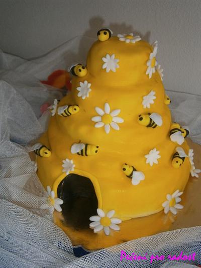 Bee hive cake - Cake by Lenka Budinova - Dorty Karez