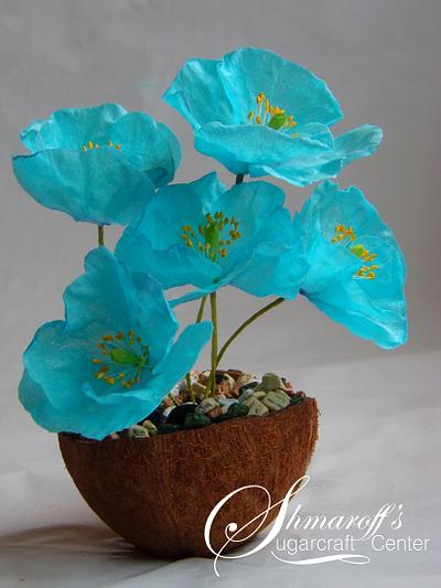Wafer Paper Blue Himalayan Poppy - Cake by Petya Shmarova