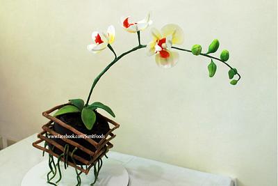 Moth Orchid Gravity Cake - Cake by Sum It Foods