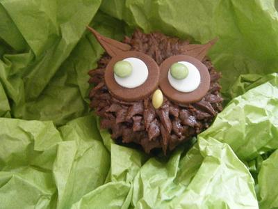 Kooky Owl Cupcake - Cake by Sarah