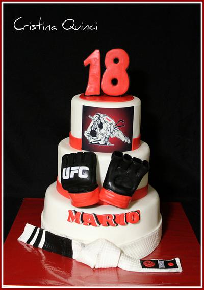 MMA cake - Cake by Cristina Quinci