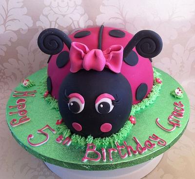 Girly Ladybird - Cake by Carrie