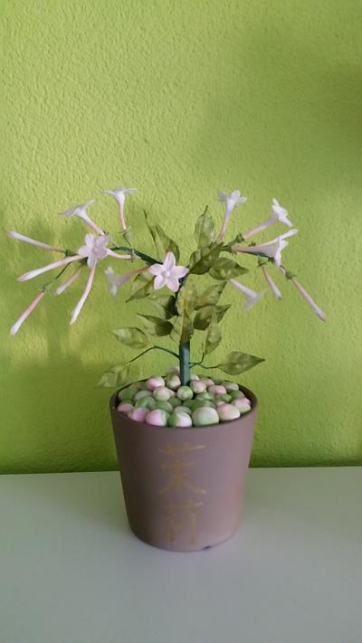 Jasmin Flower.... - Cake by Weys Cakes