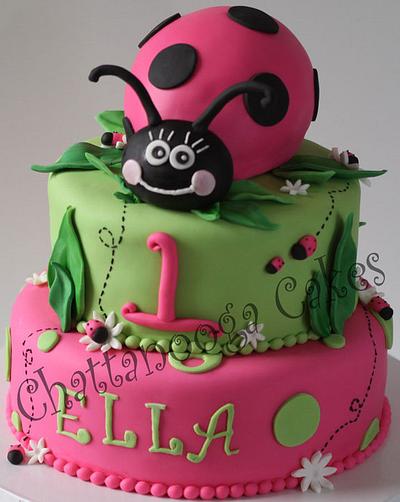 Lady Bug Cake - Cake by Sandy Thompson