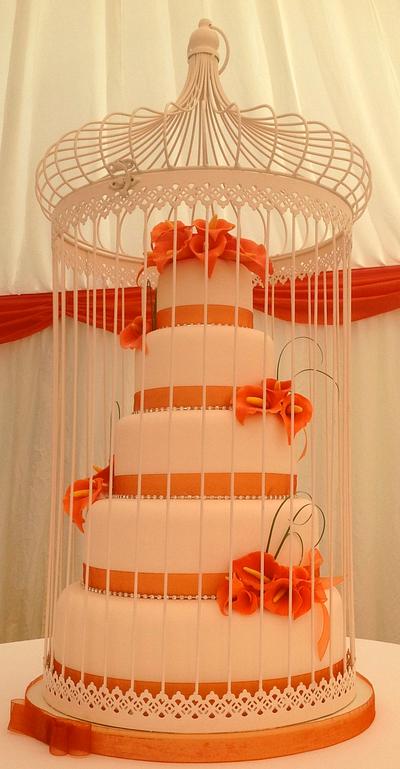Bird cage cake  - Cake by Alison's Bespoke Cakes
