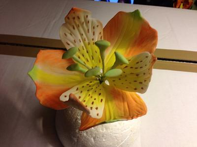 Peruvian lily - Cake by Carrie68