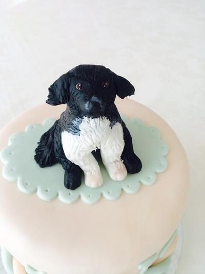 Little dog - Cake by Barbara Gambarotto