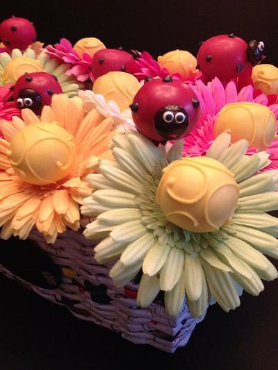 Gerber and ladybug Cakepops - Cake by Bob and Anna