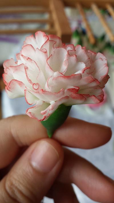 First gumpaste carnations  - Cake by AAAXXX