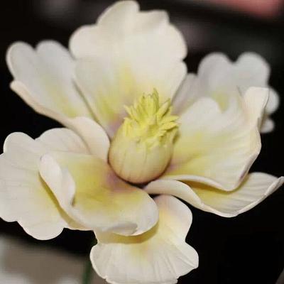 magnolia - Cake by Sini's Cakery 
