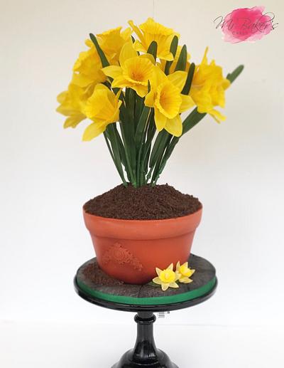 Pot of Daffodils - Cake by Mr Baker's Cakes