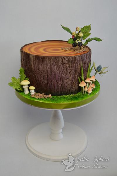 Forest cake - Cake by JarkaSipkova